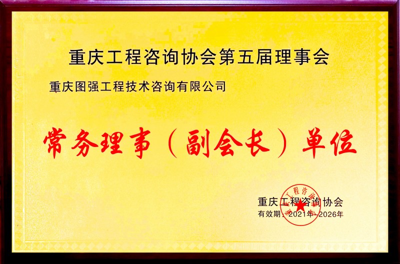 2 重庆工程咨询协会副会长单位.jpg